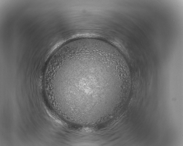 X0000077990111200611171805