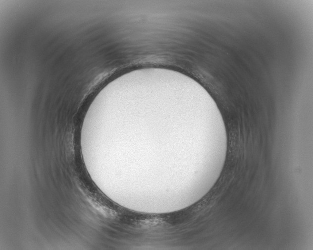 X0000077990112200611171805