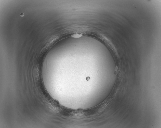 X0000077990113200611171805