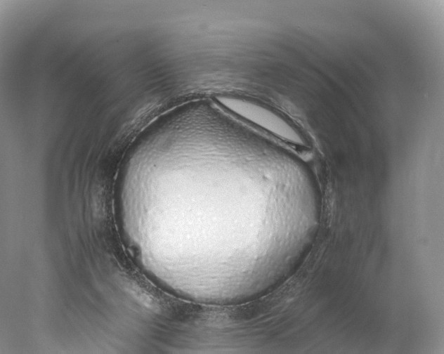 X0000077990114200611171805