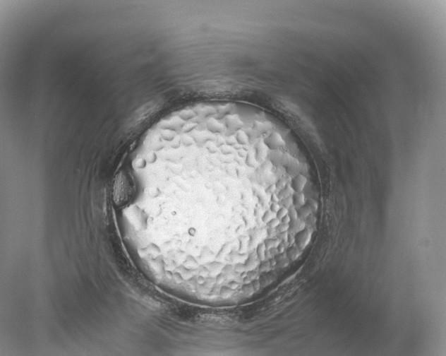 X0000077990115200611171805