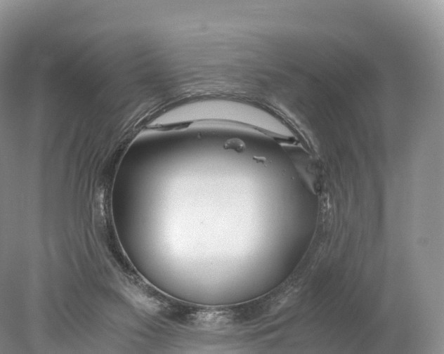 X0000077990117200611171804