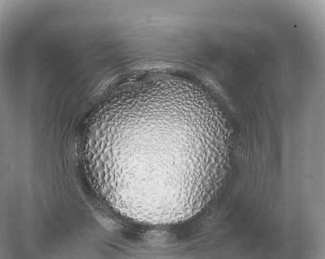 X0000077990119200611171804