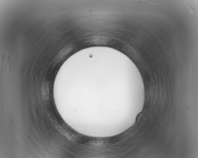 X0000077990120200611171804