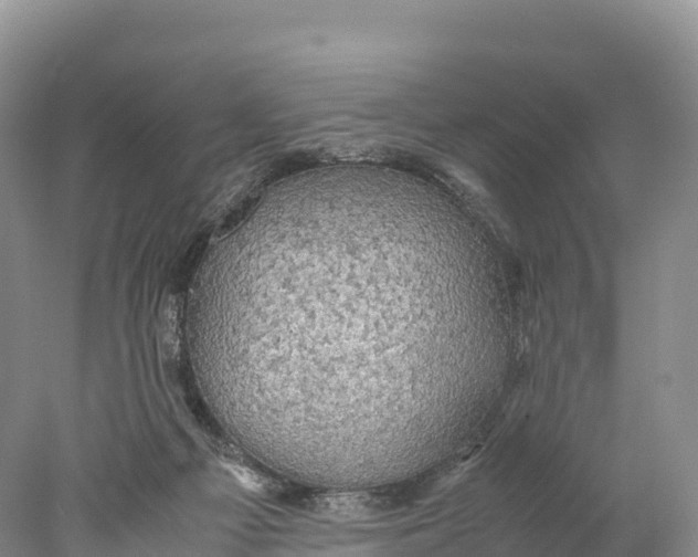 X0000077990121200611171804