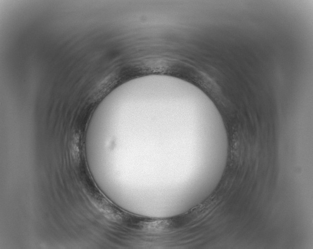 X0000077990122200611171804