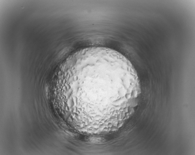 X0000077990123200611171804