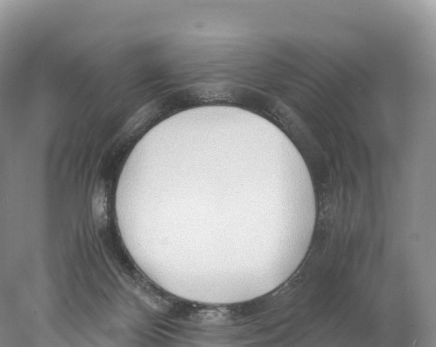 X0000077990124200611171804