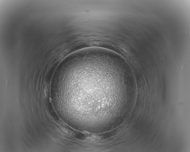 X0000077990125200611171804