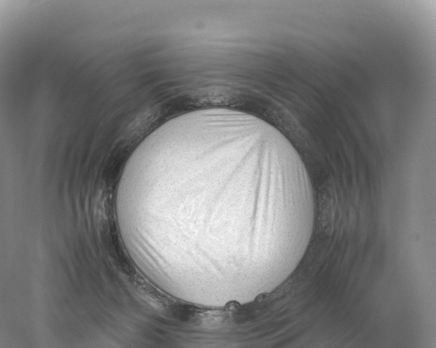 X0000077990126200611171804