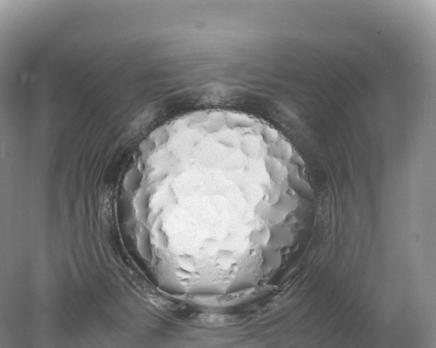 X0000077990127200611171804