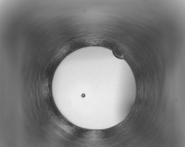 X0000077990128200611171804