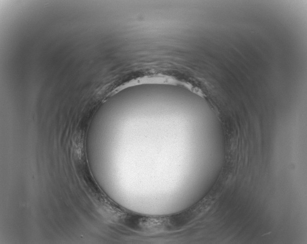 X0000077990129200611171804