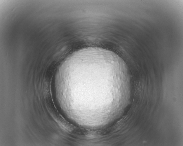 X0000077990130200611171804