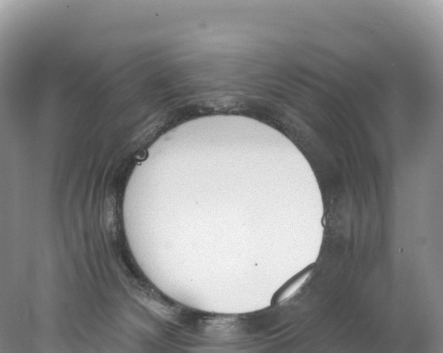 X0000077990132200611171804