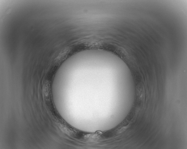 X0000077990133200611171804