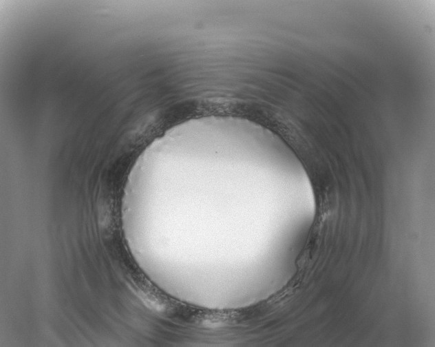 X0000077990134200611171804