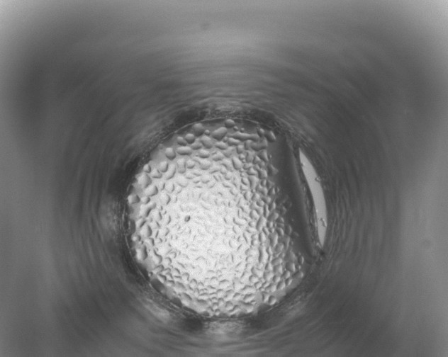 X0000077990135200611171804