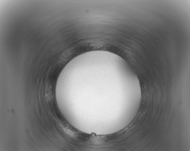 X0000077990136200611171804