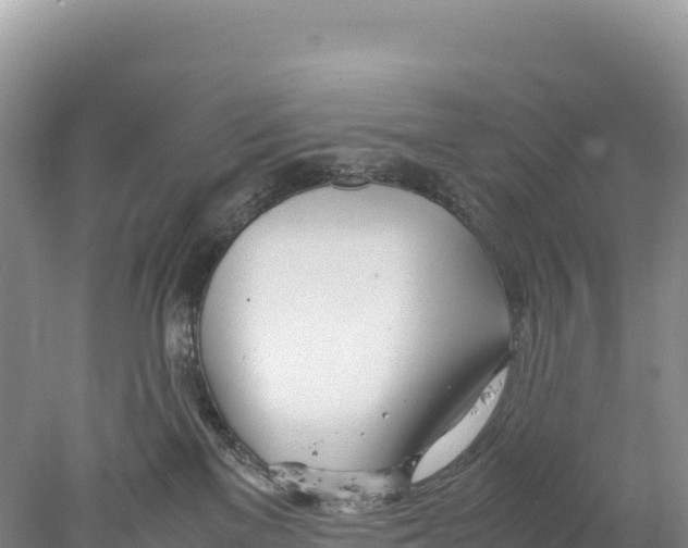 X0000077990137200611171804