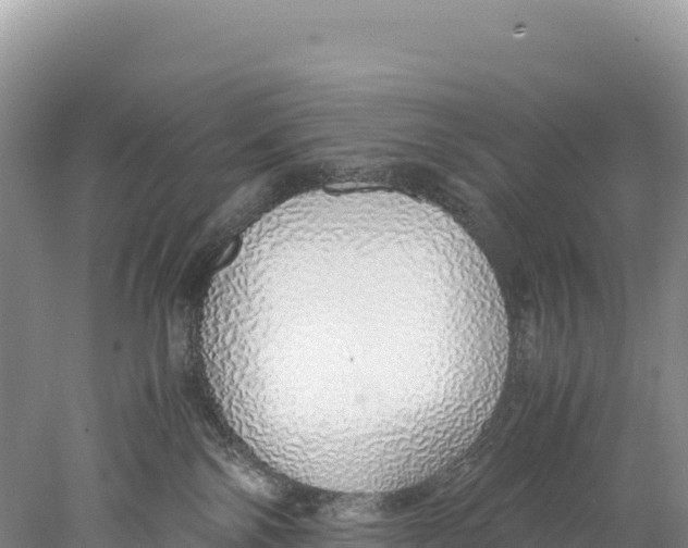 X0000077990138200611171804