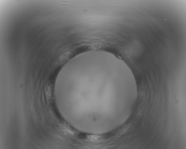 X0000077990139200611171804