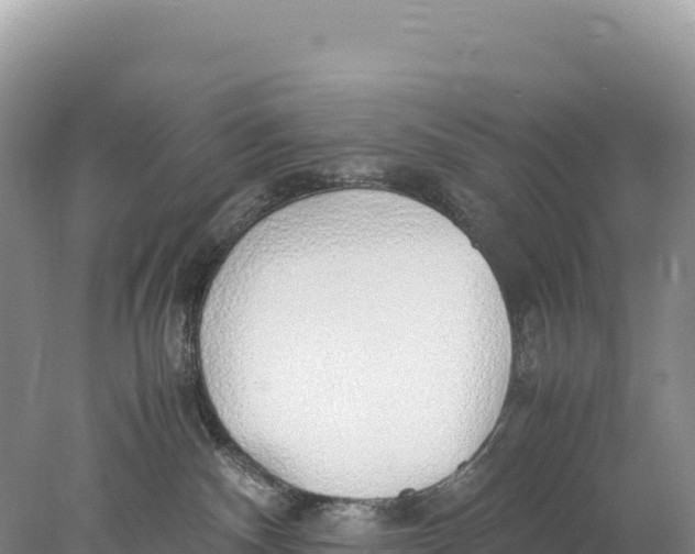 X0000077990140200611171804