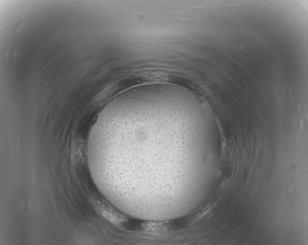 X0000077990141200611171804