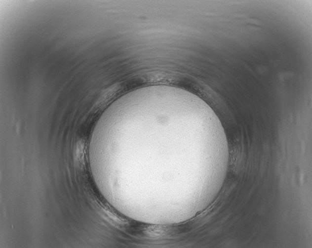 X0000077990142200611171804