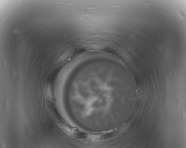 X0000077990143200611171804