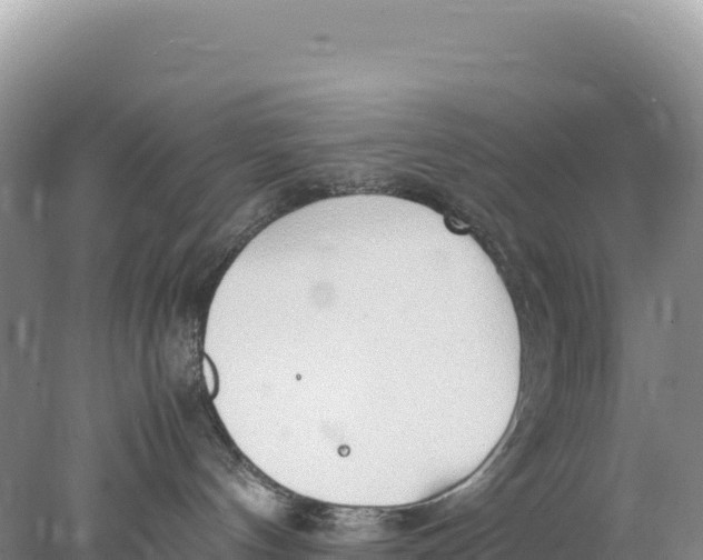 X0000077990144200611171804