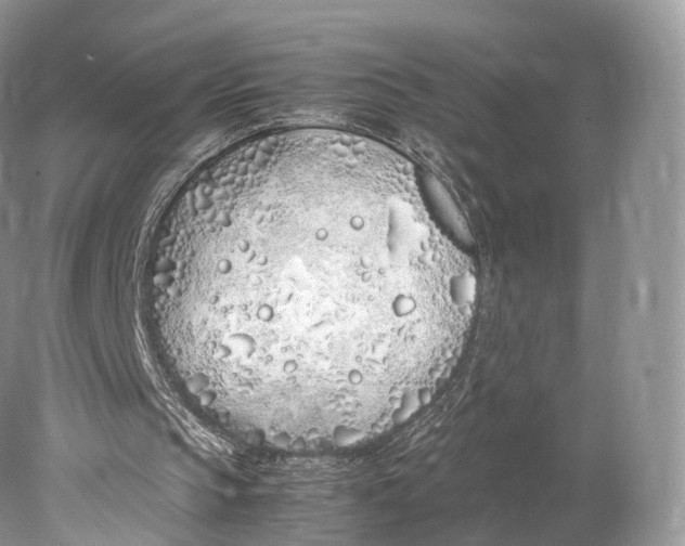 X0000077990145200611171803