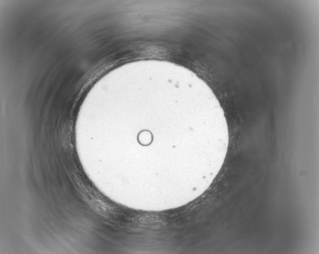 X0000077990146200611171803