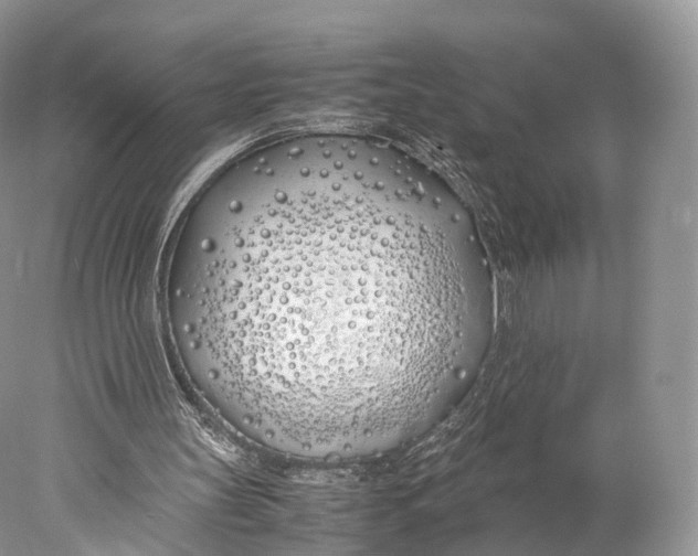 X0000077990147200611171803