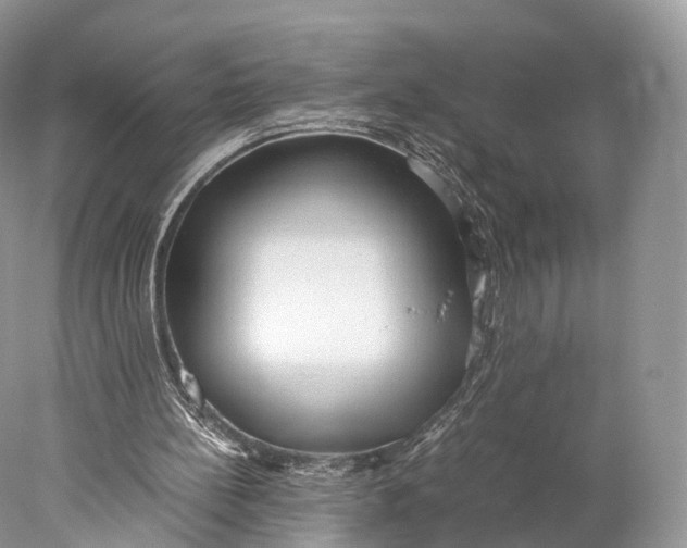 X0000077990148200611171803