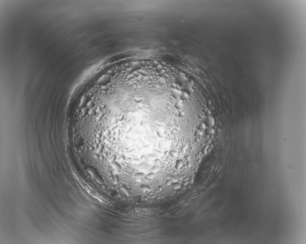 X0000077990149200611171803