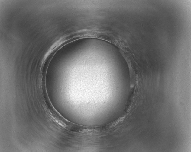 X0000077990150200611171803