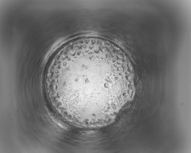 X0000077990151200611171803