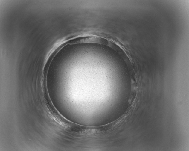 X0000077990152200611171803