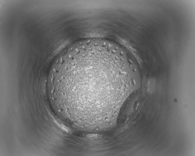 X0000077990153200611171803