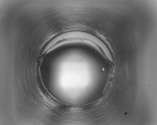 X0000077990154200611171803