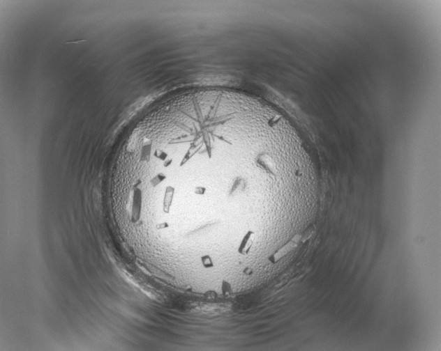 X0000077990155200611171803