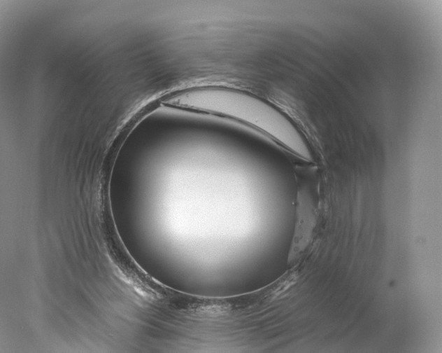 X0000077990156200611171803