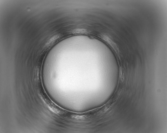 X0000077990157200611171803