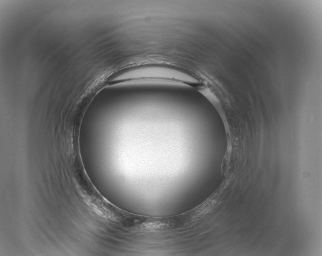 X0000077990158200611171803