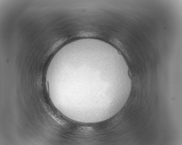 X0000077990159200611171803