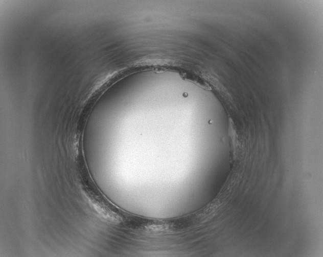 X0000077990160200611171803