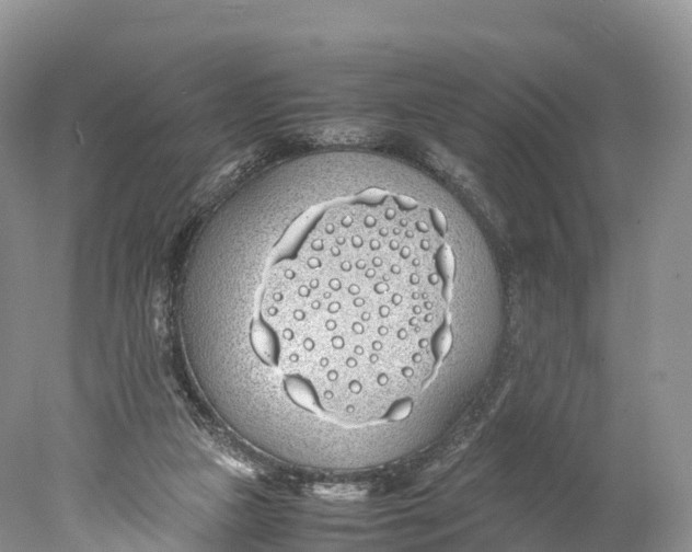 X0000077990161200611171803