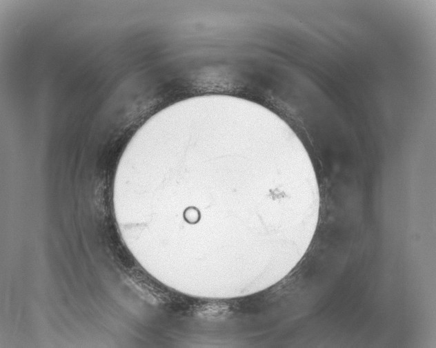 X0000077990162200611171803