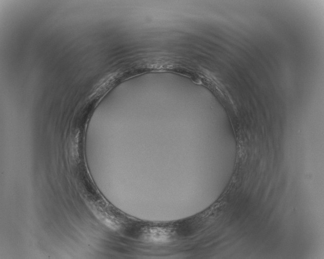 X0000077990163200611171804